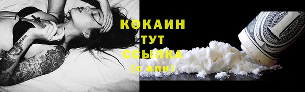 PSILOCYBIN Лихославль