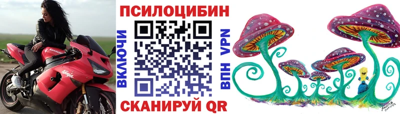 Галлюциногенные грибы Psilocybe  наркотики  Гаврилов Посад 