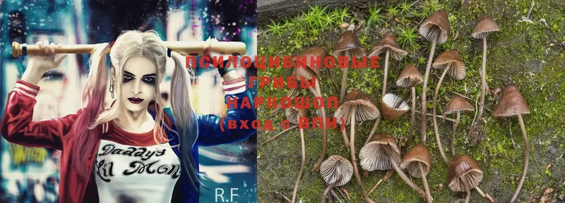 Галлюциногенные грибы Magic Shrooms  кракен как зайти  Гаврилов Посад 