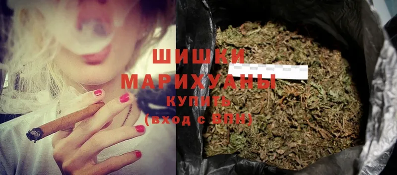 Конопля SATIVA & INDICA  Гаврилов Посад 